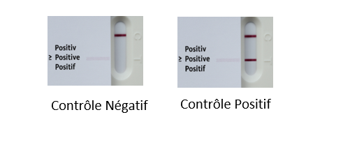 Contrôle négatif et contrôle positif