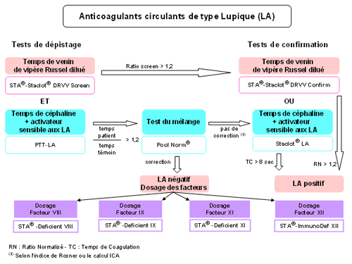 Anticoagulants circulants de type Lupique (LA)