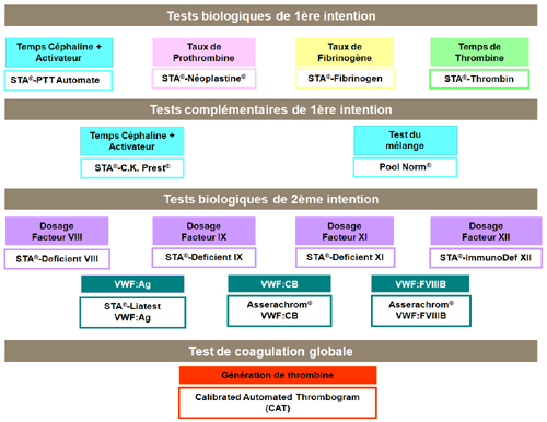 Hémophilie A : les différents tests à réaliser